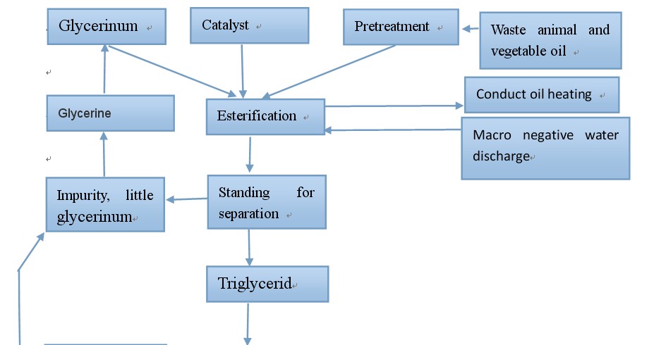 Biodiesel Production Processing Flow Chart