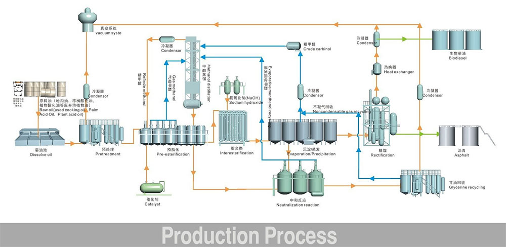 biodiesle production process2