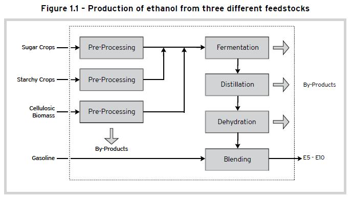 production of ethanol 1
