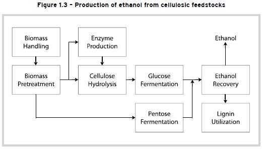 production of ethanol 3