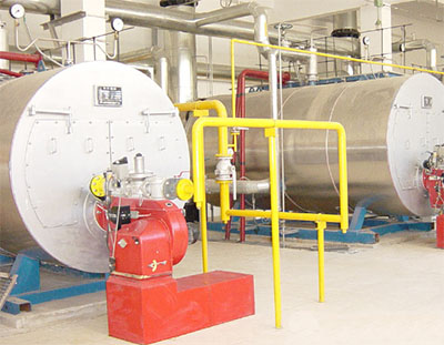 Biodiesel Hot Water Boiler Manufacturer