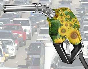 How is Biodiesel Different than Renewable Diesel?