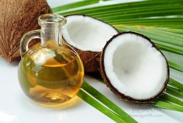 Philippines promoting biodiesel from coconut