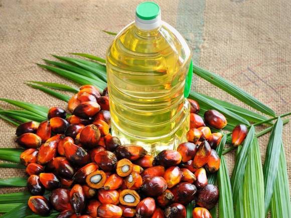 How to nurture the growth of Indonesian biodiesel