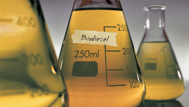 Indonesia biodiesel output could jump 40 pct in 2019
