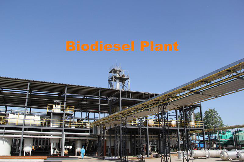 Biodiesel industry analysis
